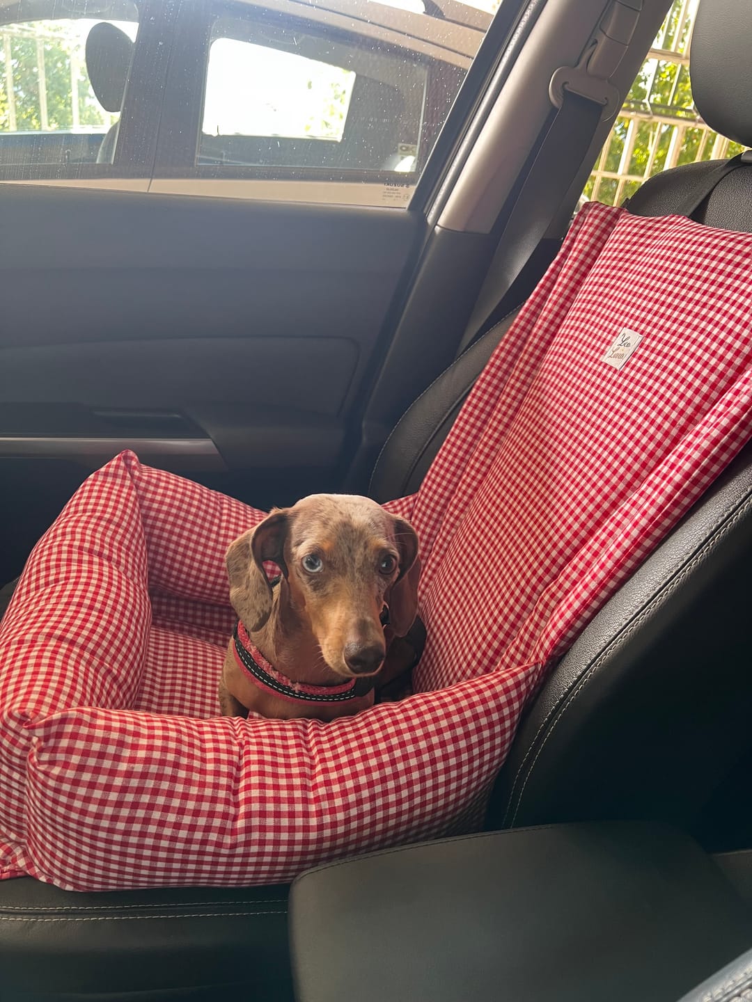 Customer photo review of Seggiolino Auto Cotone Vichy Rosso