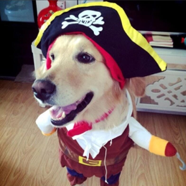 Customer photo review of Costume Pirates of The Caribbean Style