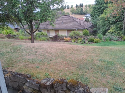 Customer's lawn showing dried, brown grass before using RASENBLITZ Sommerdünger.