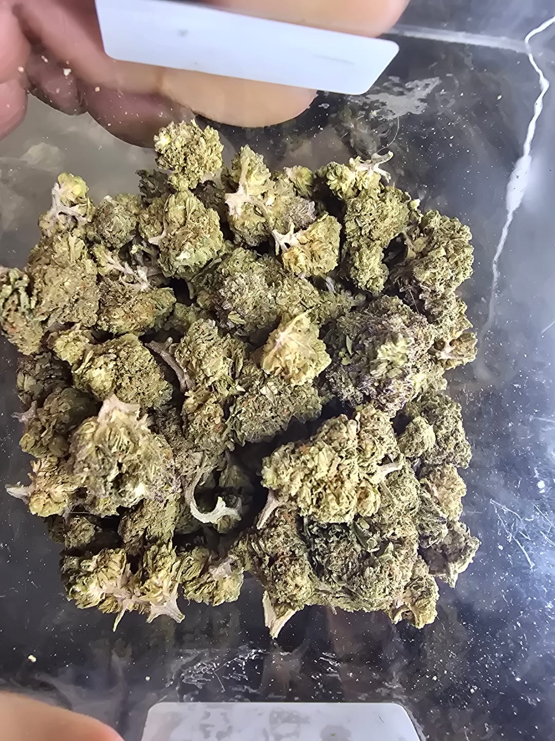 Customer photo review of Bulk THCA Smalls