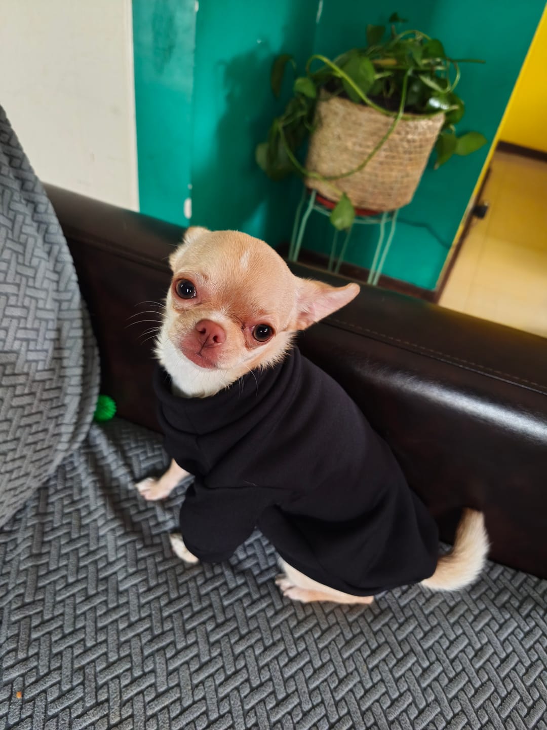 Customer photo review of Polera Térmica Power Stretch™