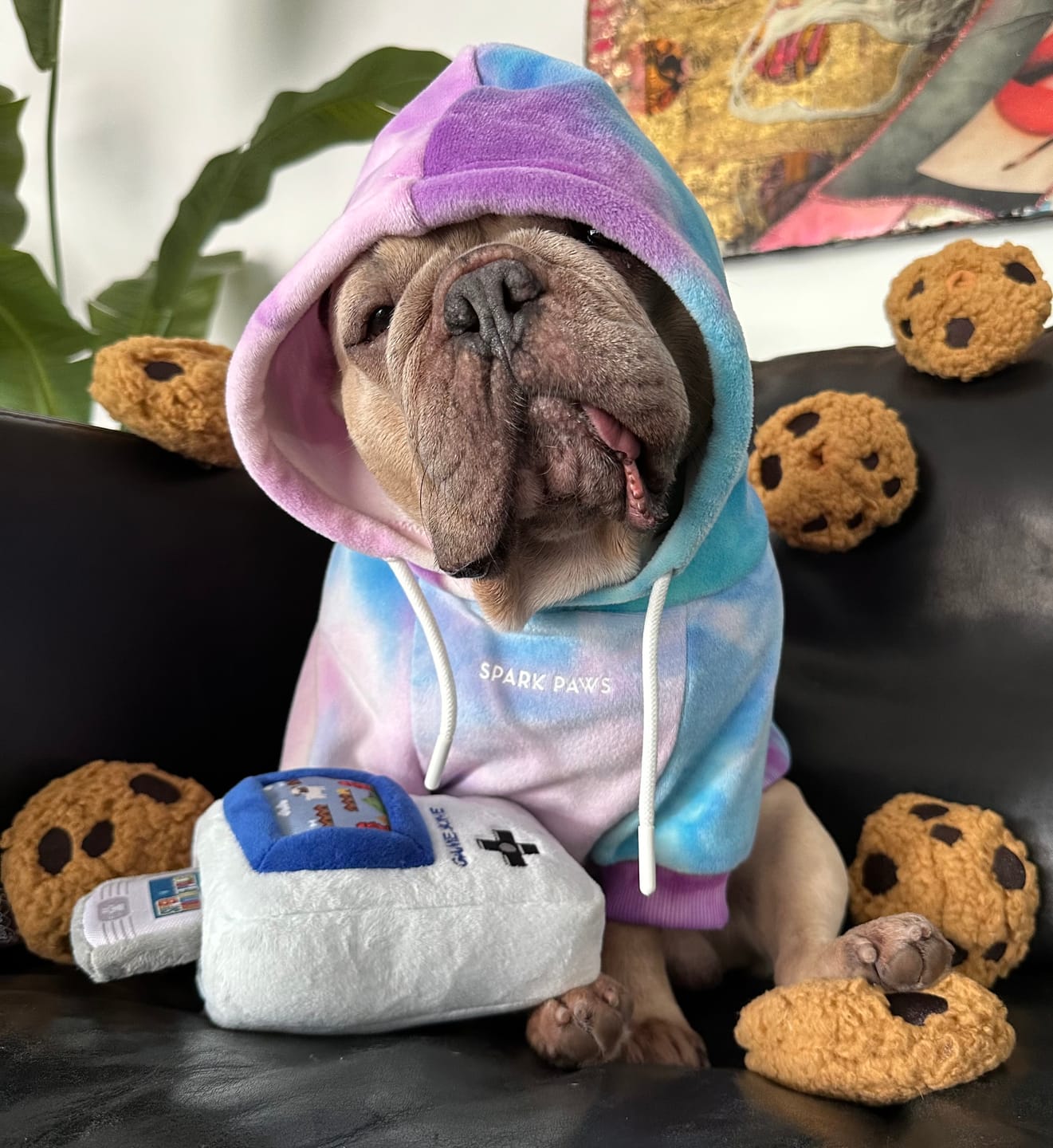 Customer photo review of Velvet Dog Hoodie - 90s Retro