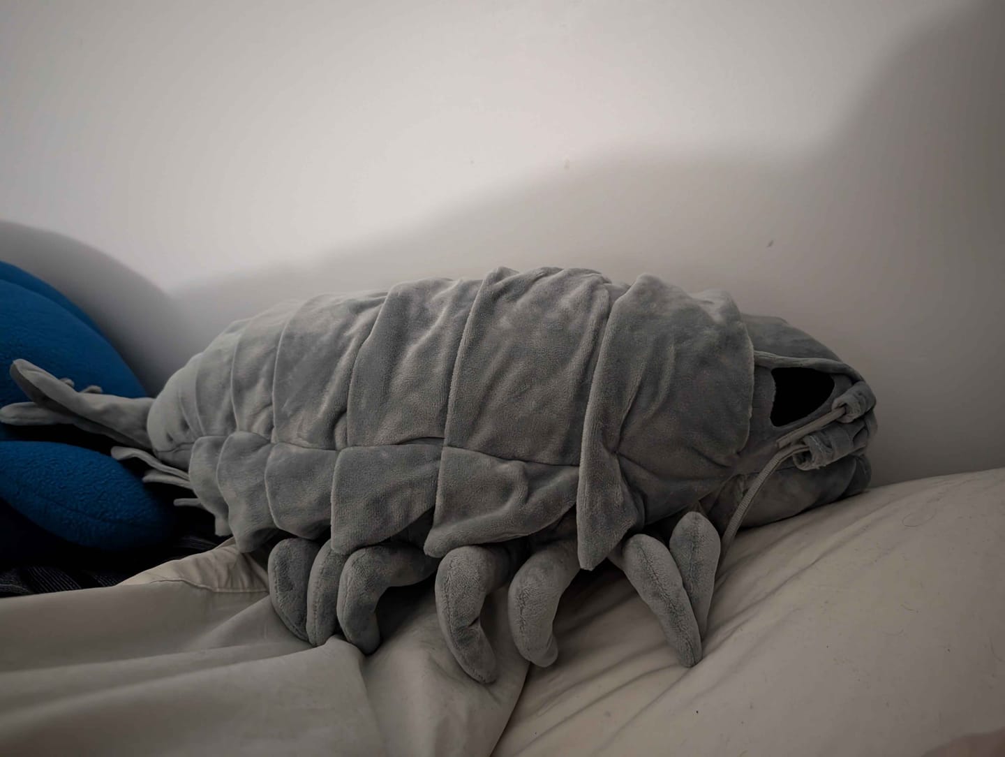 Customer photo review of Giant Isopod Soft Stuffed Plush Toy