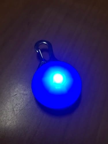 Customer photo review of GlowTag — LED Safety Light Pendant for Dog Collars