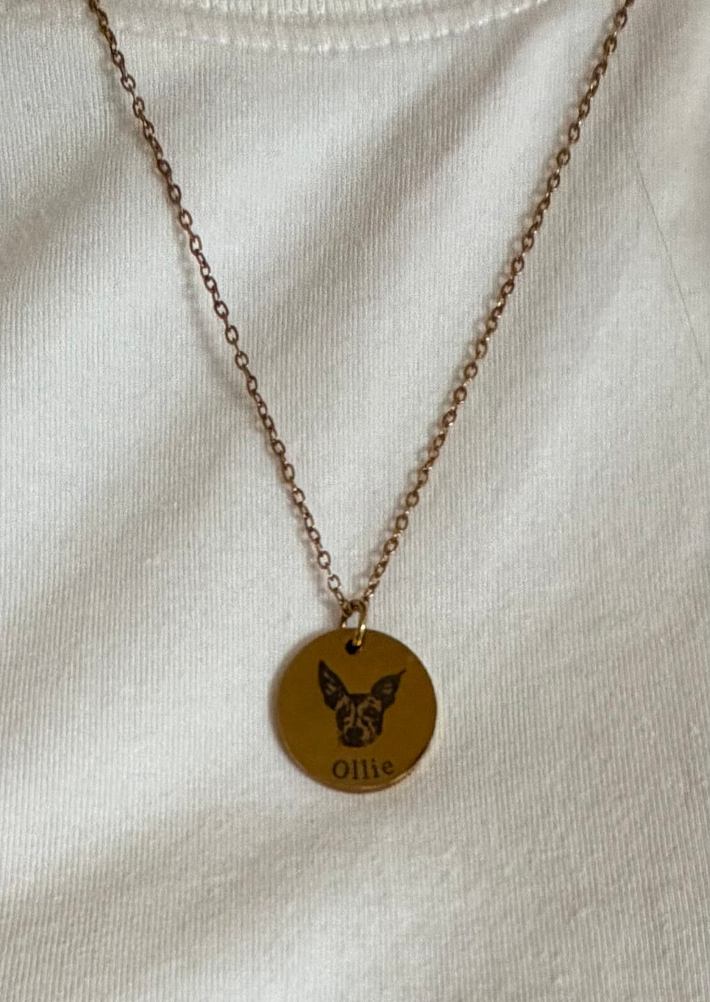 Customer photo review of Custom Pet Face Necklace