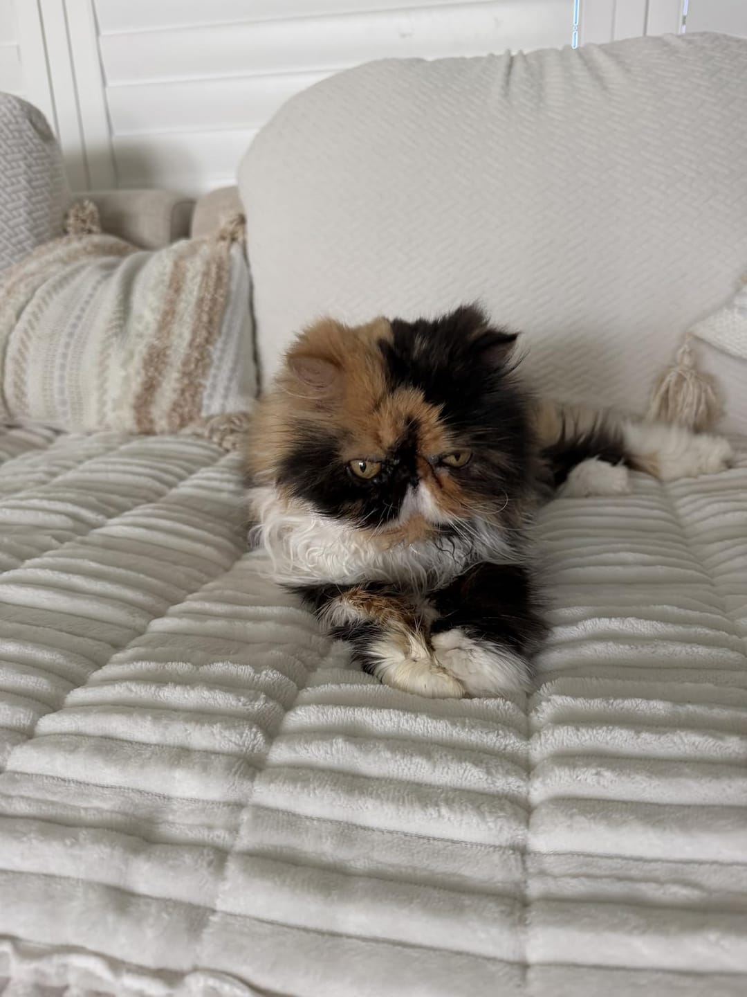 Customer photo review of Koselig Sofatrekk