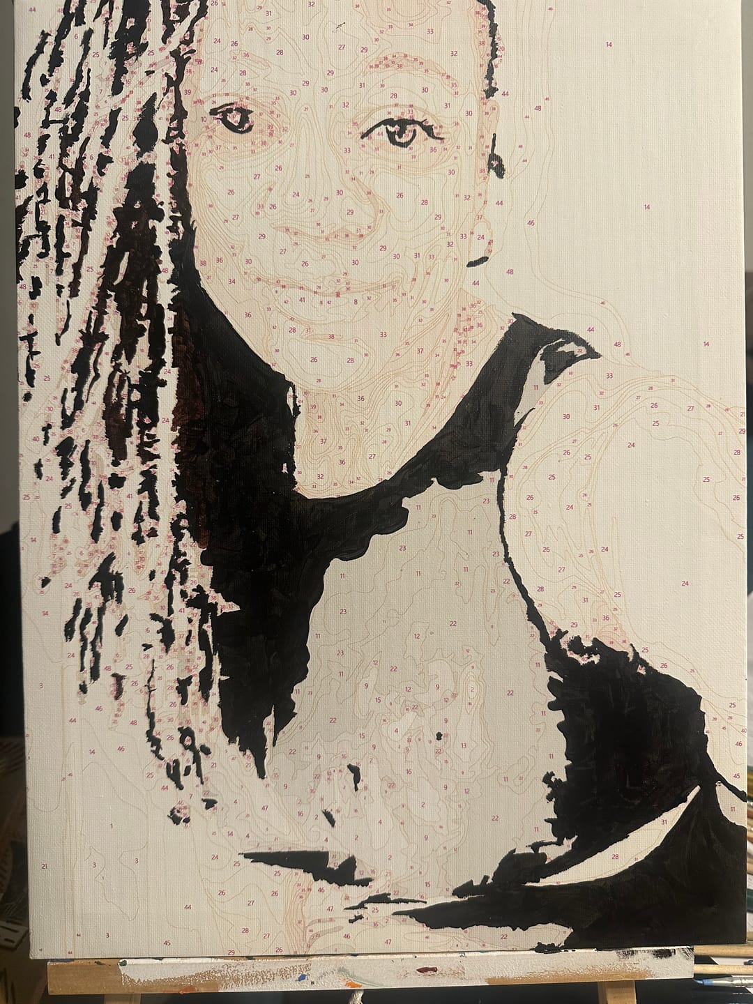 Customer photo review of Custom Paint By Numbers Kit – Turn Your Favorite Photo Into Art