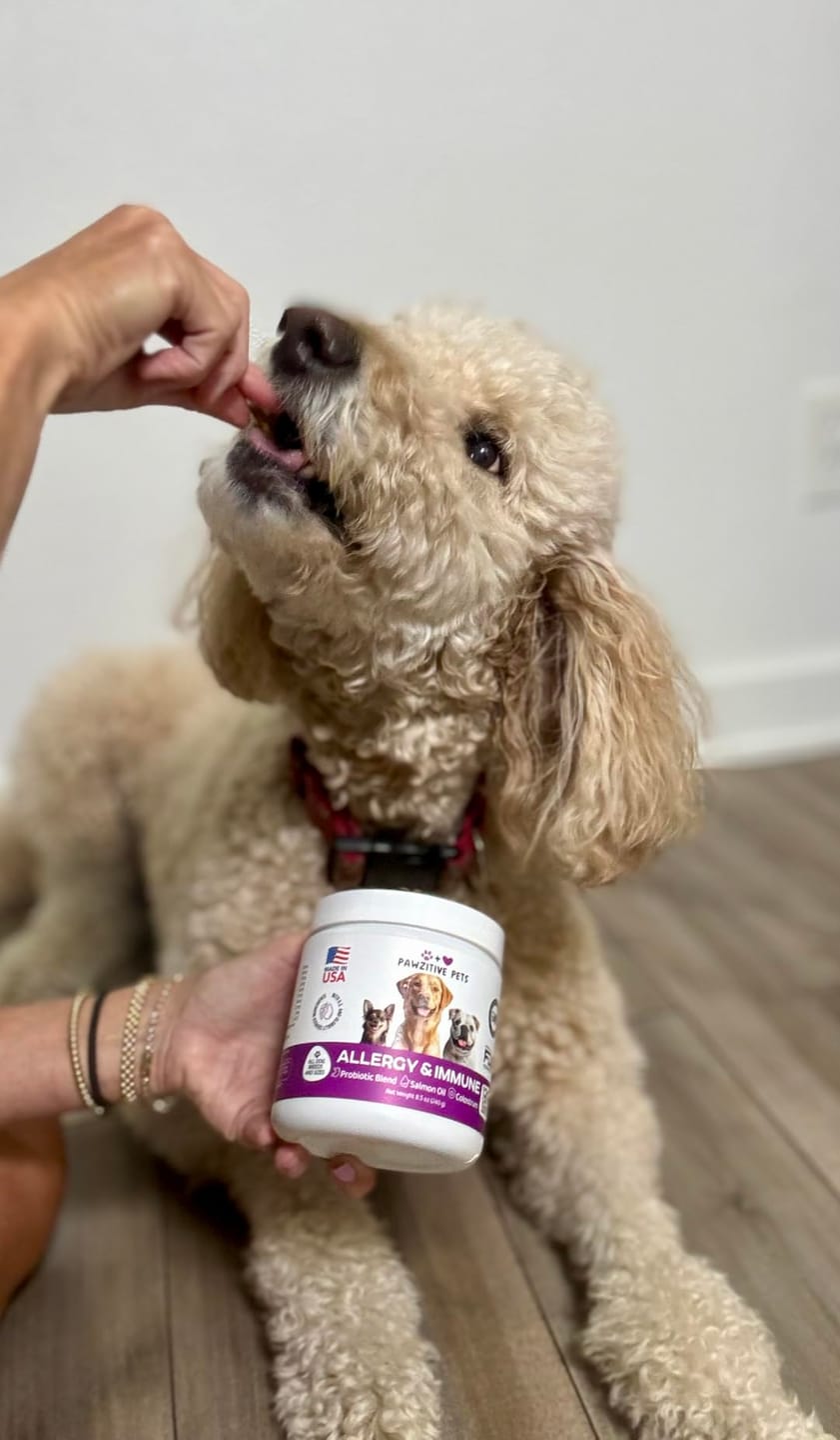 Customer photo review of Dog Allergy Chews for Itchy Skin, Paw Licking & Seasonal Allergies – Immune Support, 120 Soft Chews (Beef Flavor)