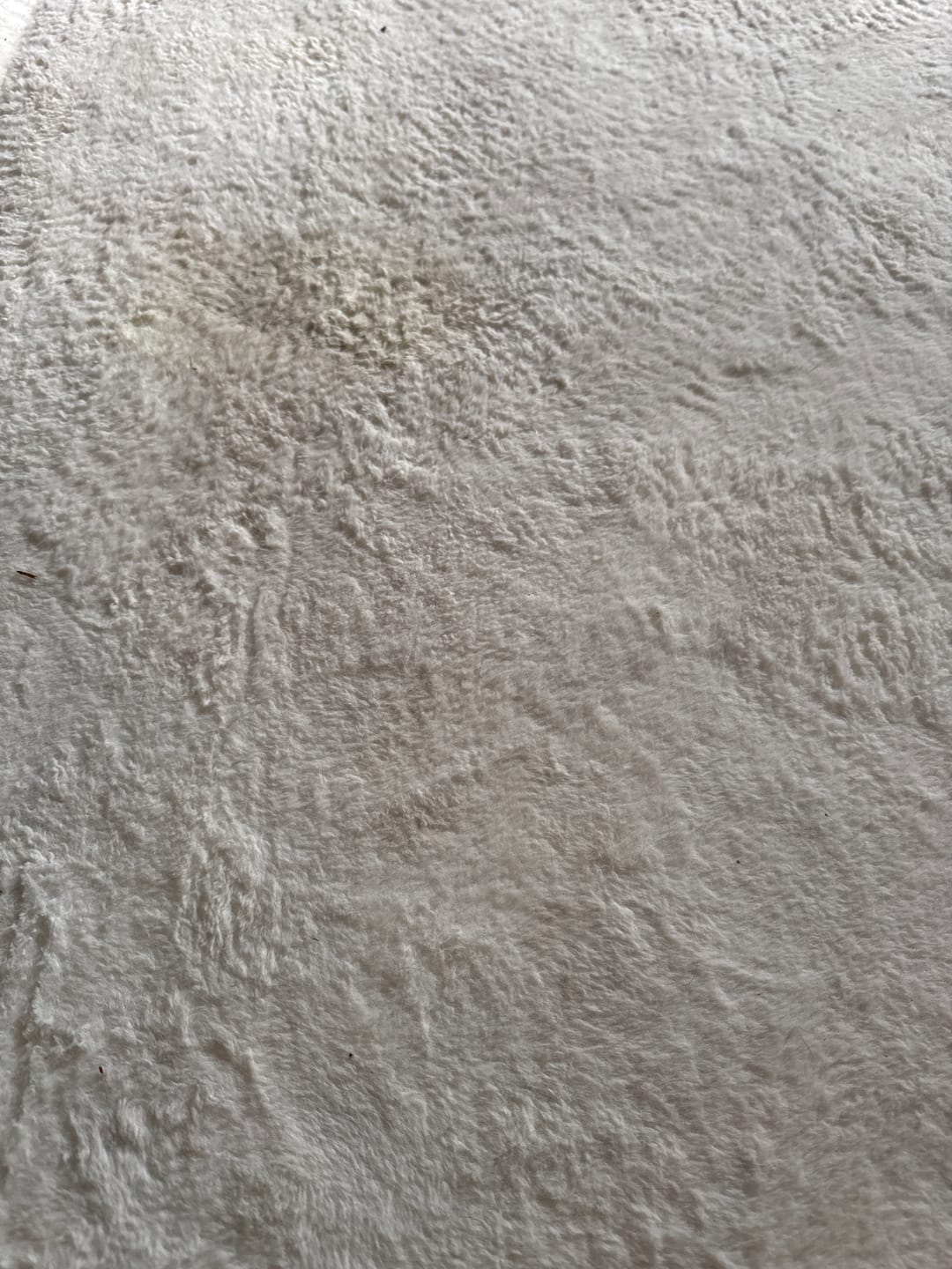 Customer photo review of Splash Padded Ritual Mat