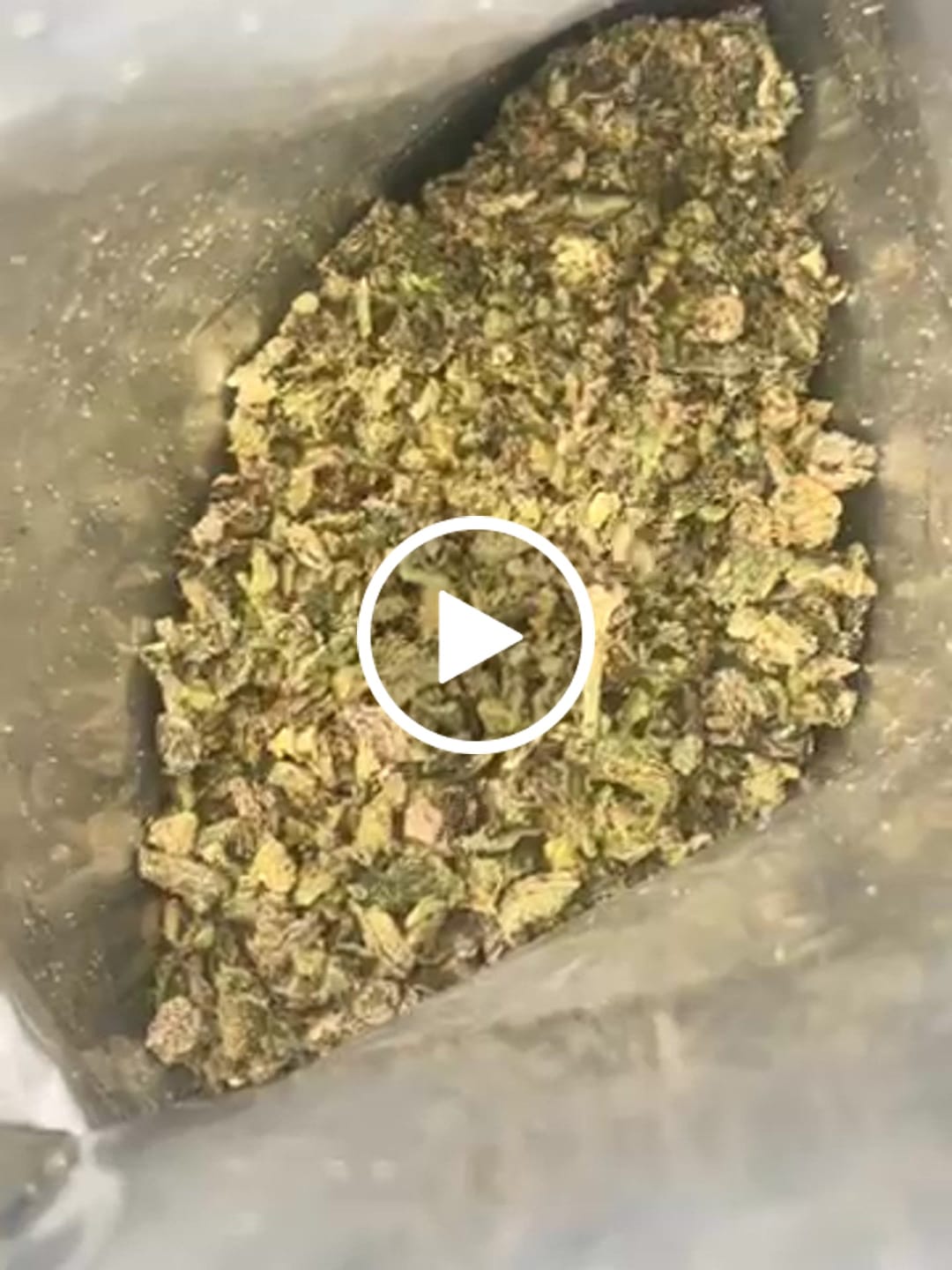 Customer video review of (Buy 1 Get 1 Free) No3 New. Blow Your Mind THCa Shake