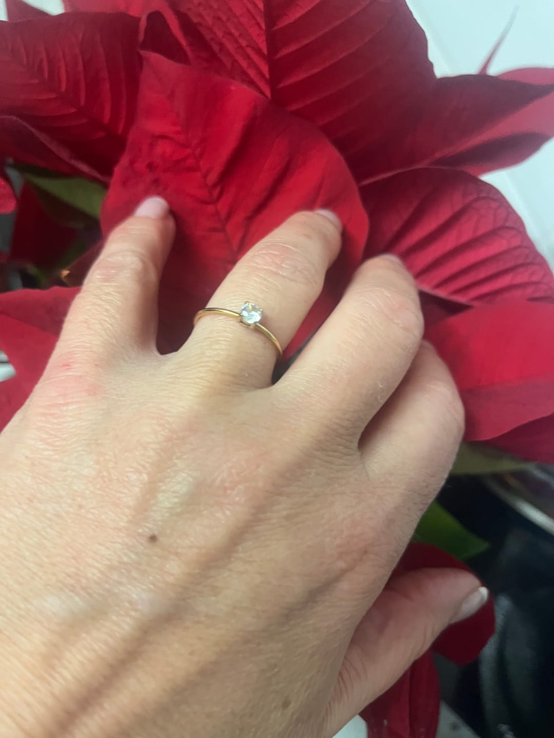 Customer photo review of Anel Luz