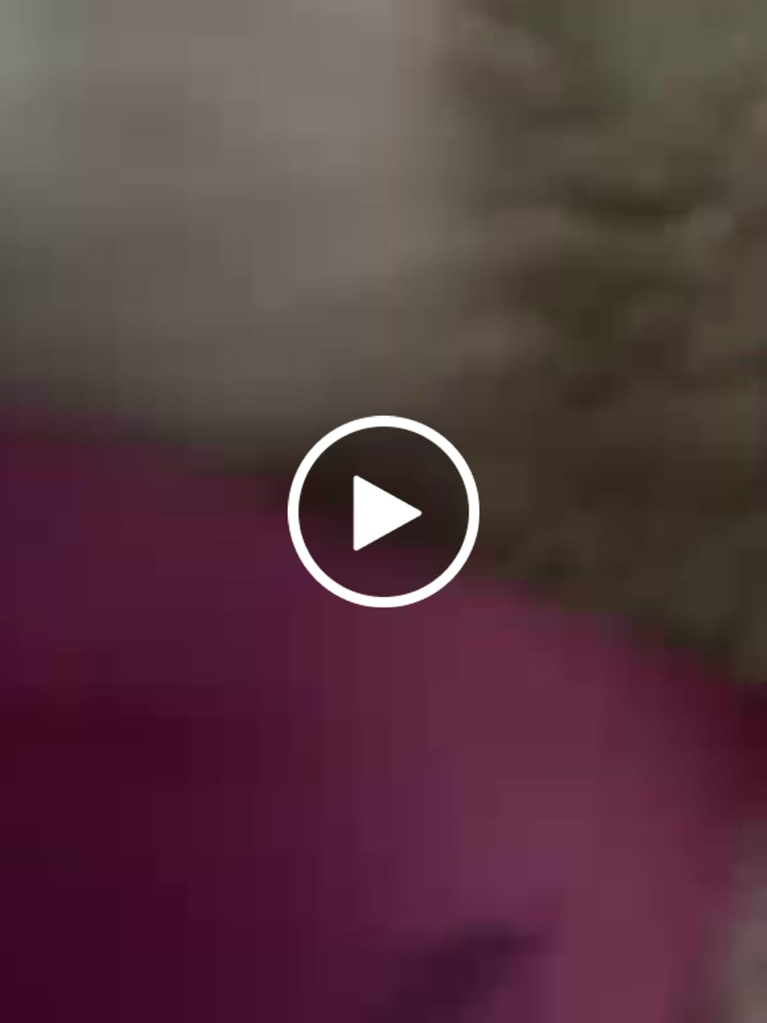 Customer video review of Lychee Dragon (10mg) Mini