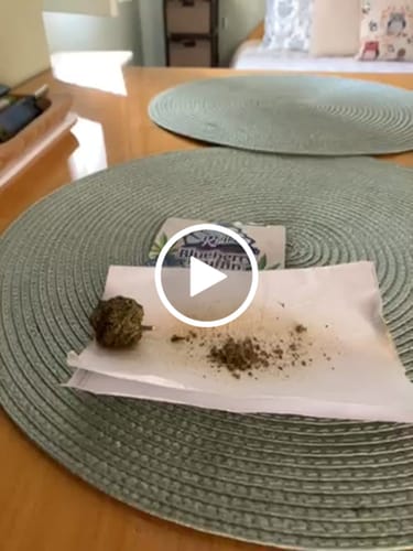 Customer video review of THC-A Flower Blueberry Muffin