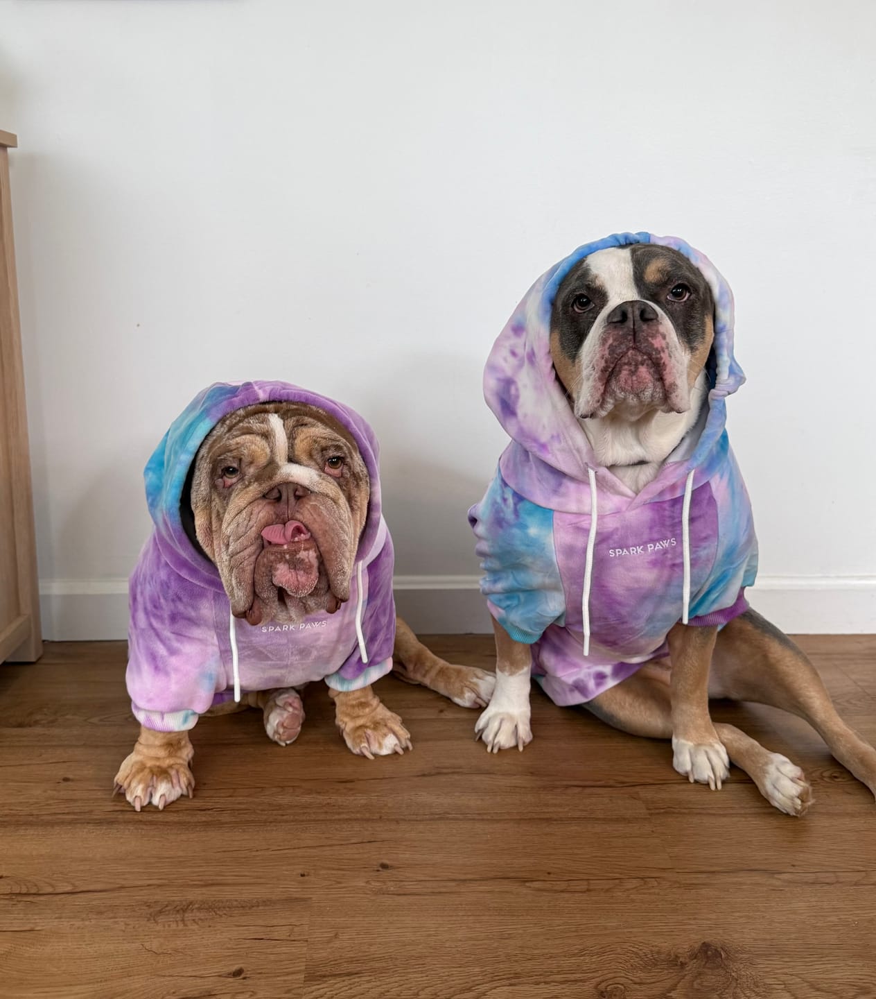 Customer photo review of Velvet Dog Hoodie - 90s Retro