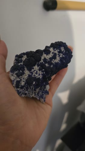 Customer's Fluorine Myrtille specimen resting in a hand, showing blue crystals on white quartz