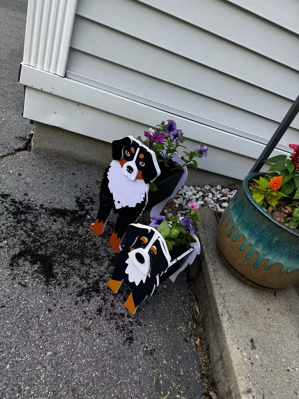 Customer photo review of Dog Planter - Bernese Mountain Dog