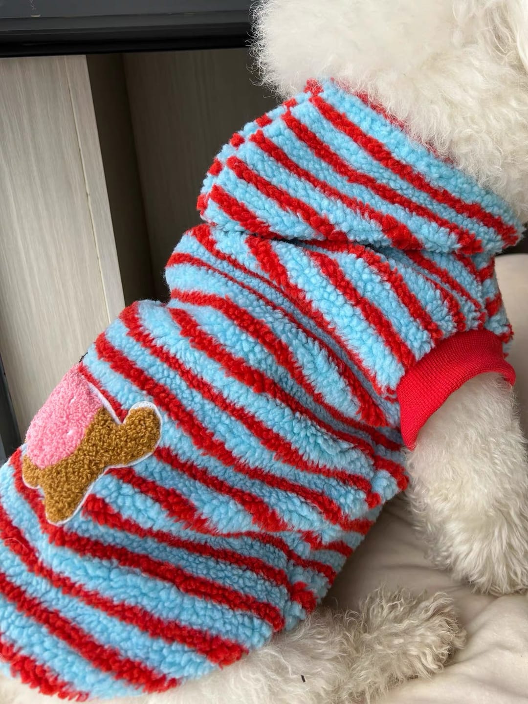 Customer photo review of Fleece Striped Dachshund Dog Cat Harness Hoodie – Warm, stylish, and functional all in one.