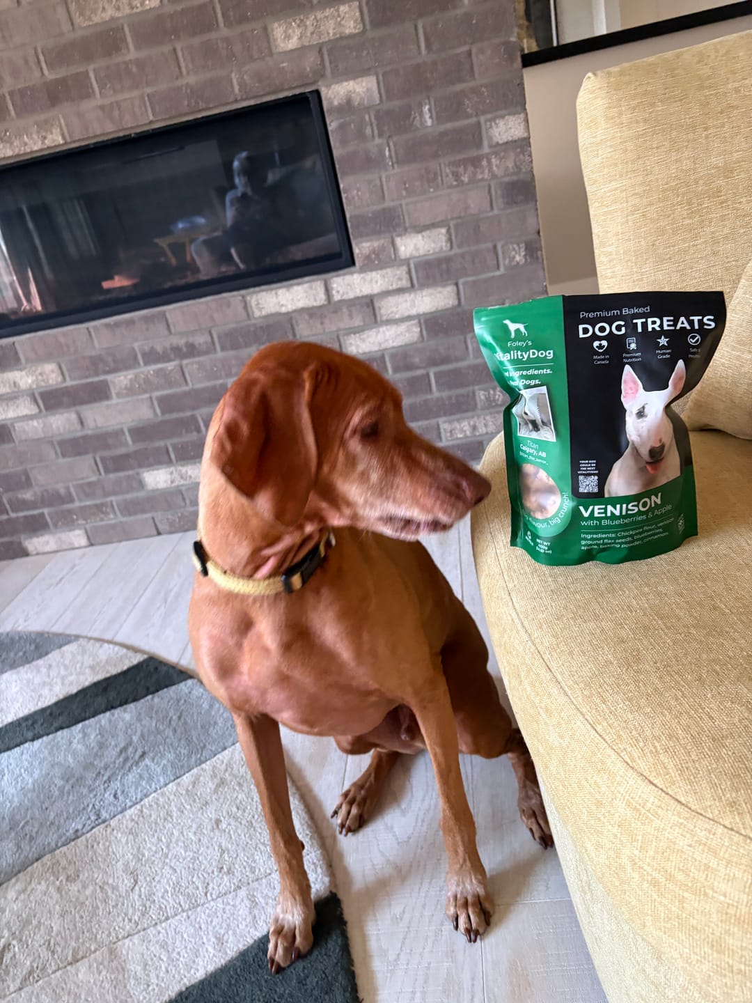 Customer photo review of Venison with Blueberries and Apple