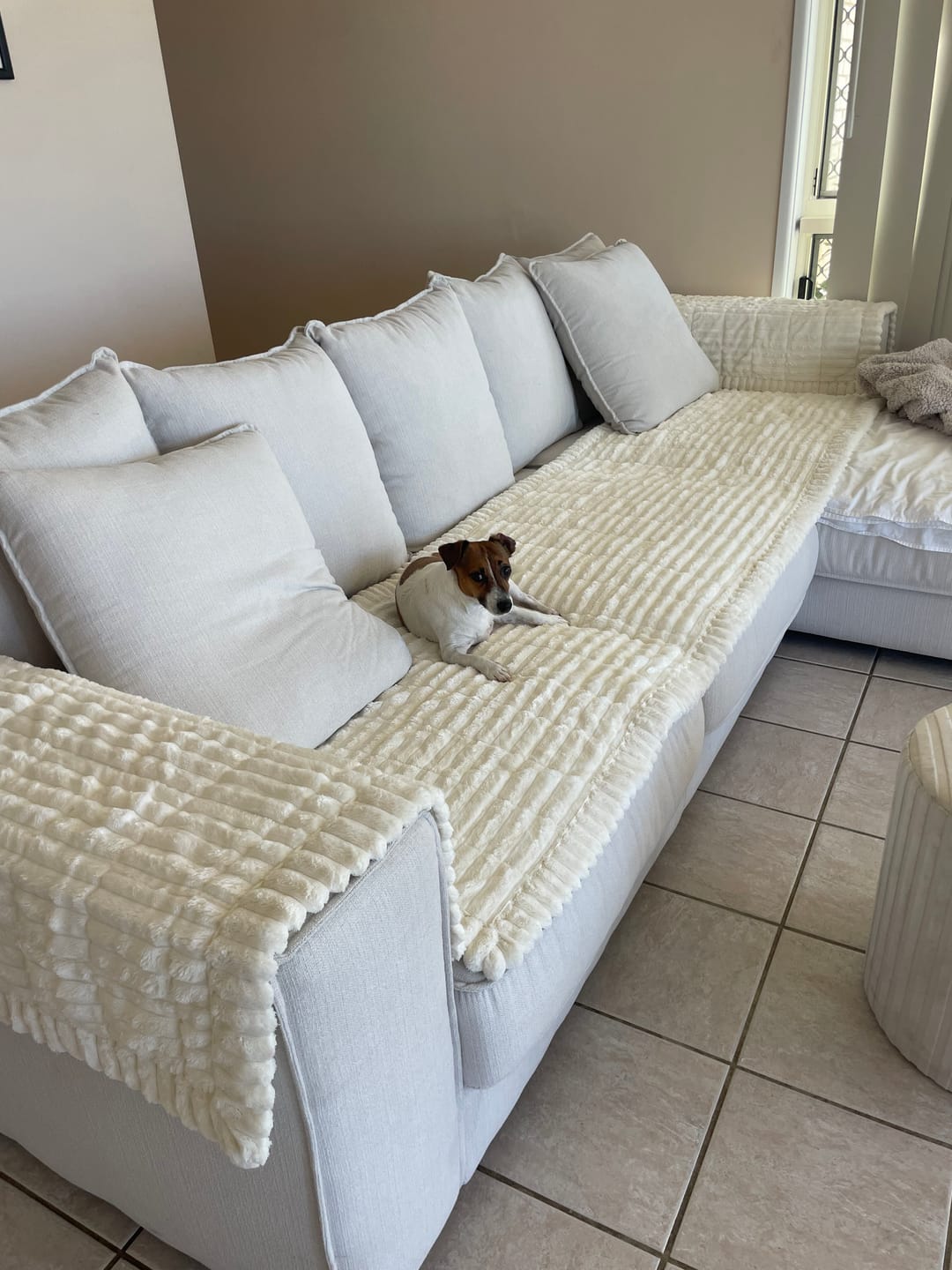 Customer photo review of CouchCloud - Couch Covers