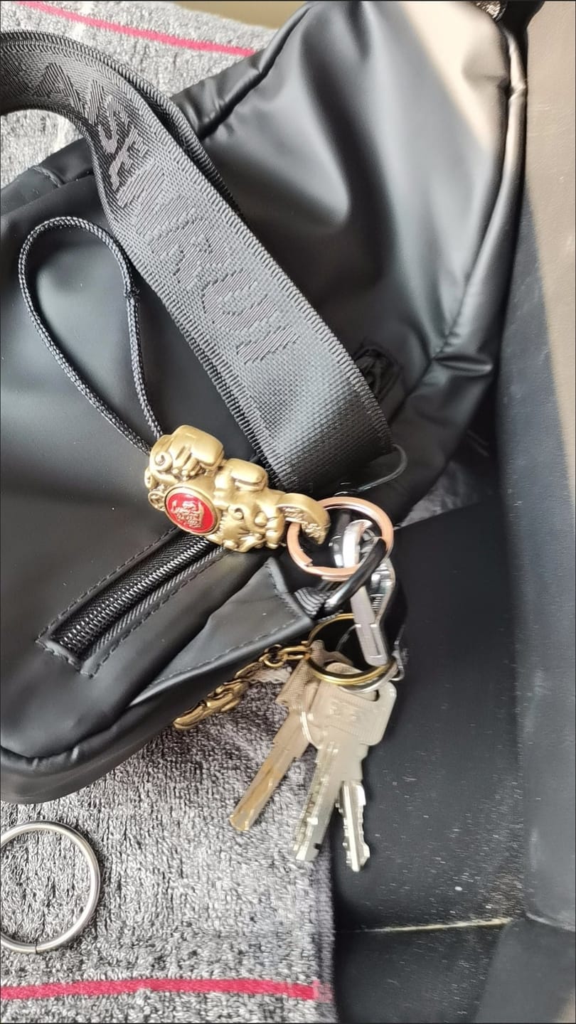 Customer photo review of FuAttract Wealth Protection & Prosperity Brass Pixiu Rotating Pendant Necklace