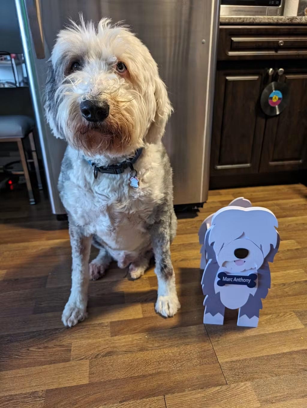 Customer photo review of Dog Planter - Old English Sheepdog