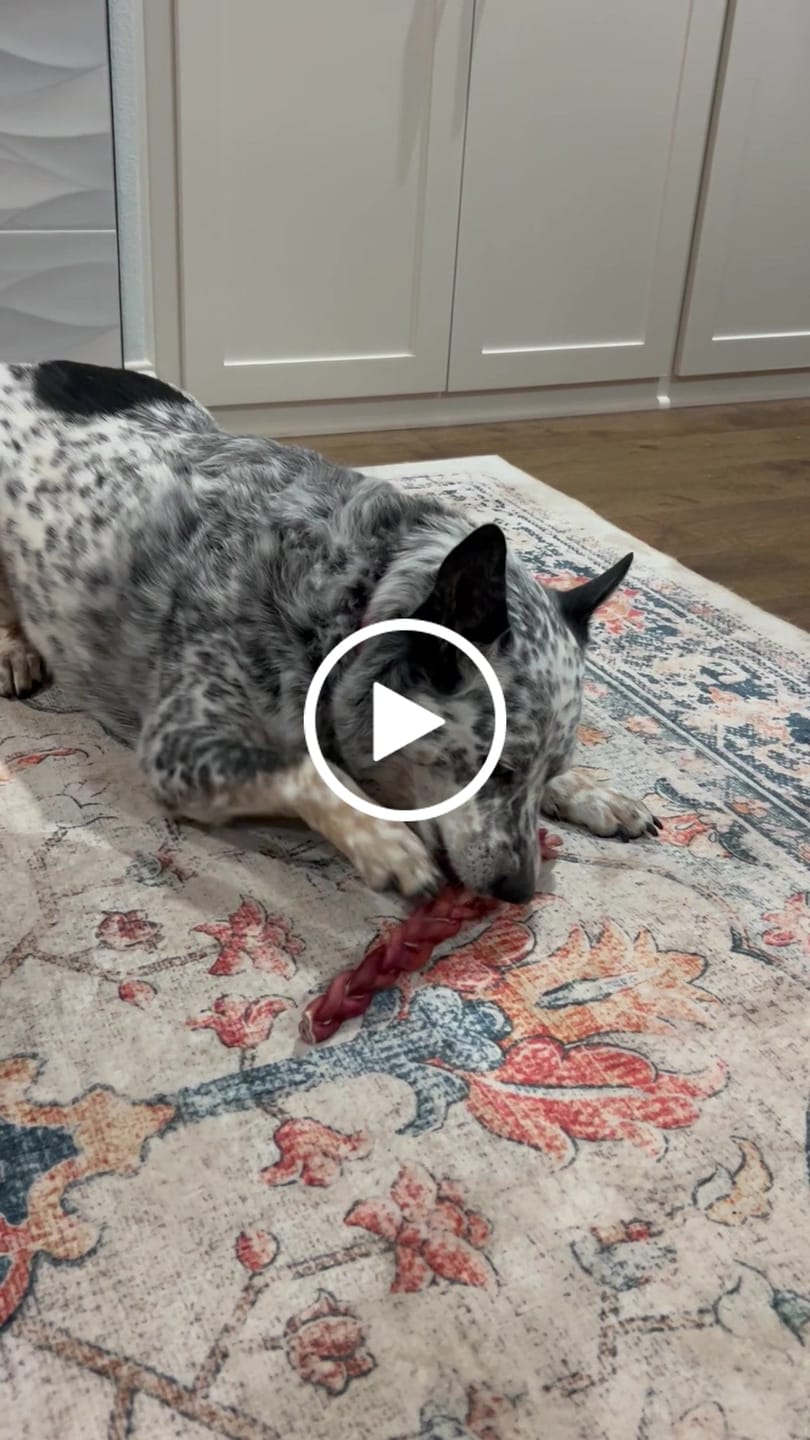 Customer video review of Super Bull Sticks