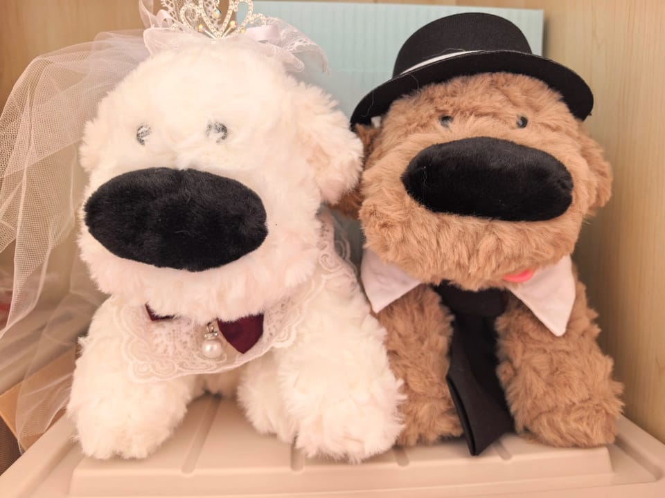 Customer photo review of Dodee Dog