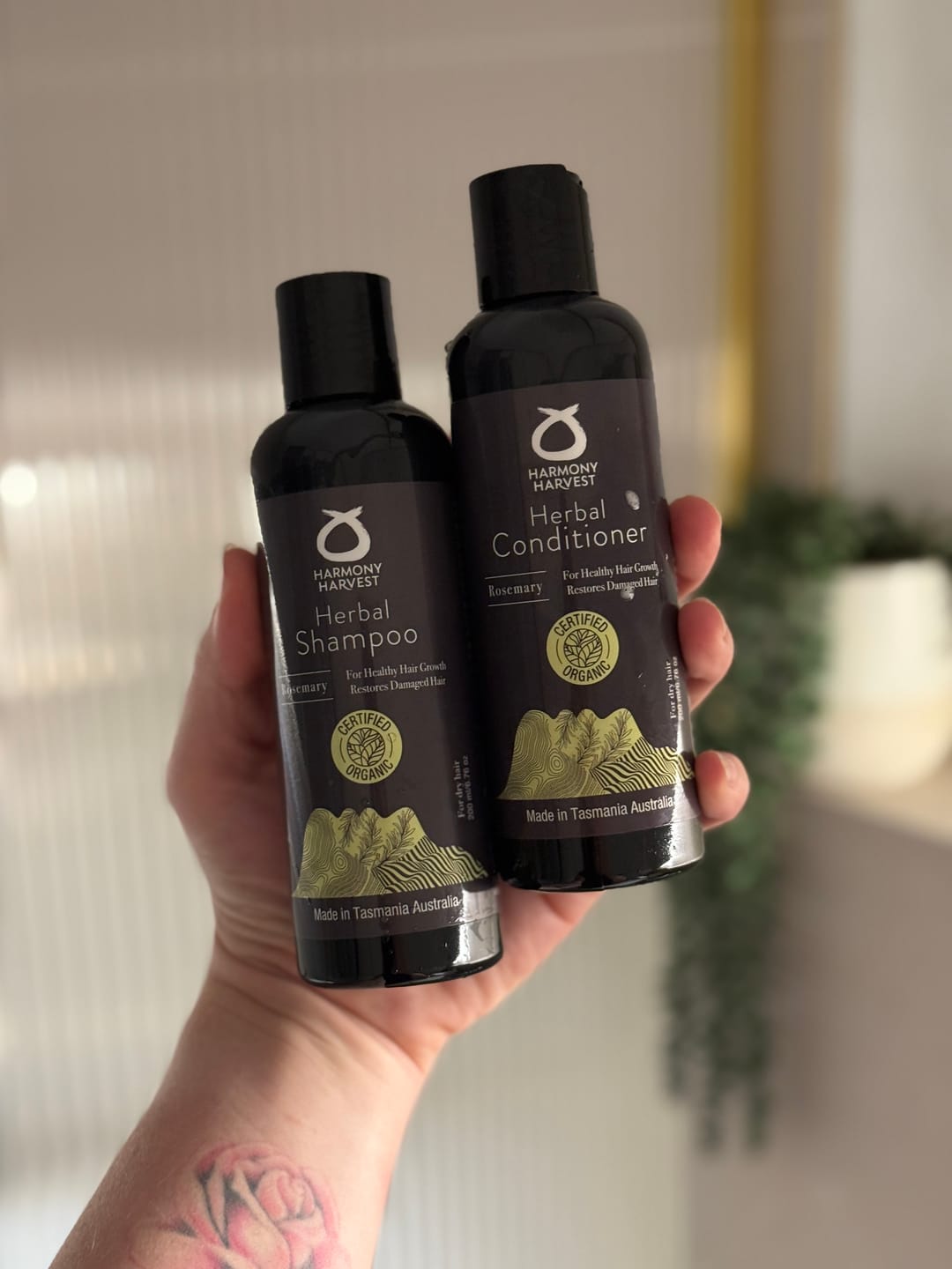 Customer photo review of Shampoo and Conditioner Rosemary