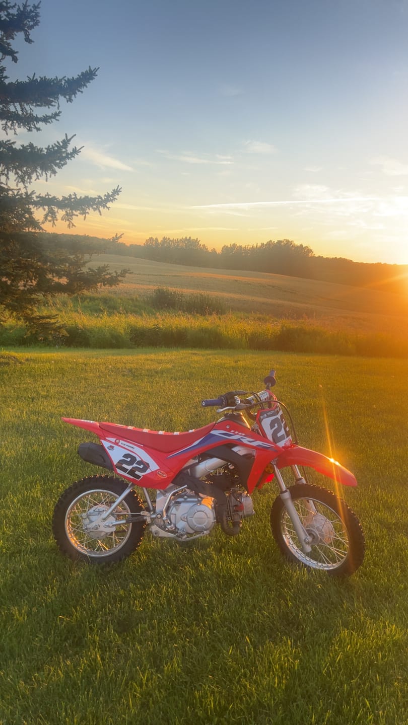 Customer photo review of Custom Seat Cover: 2022 Honda CRF110F