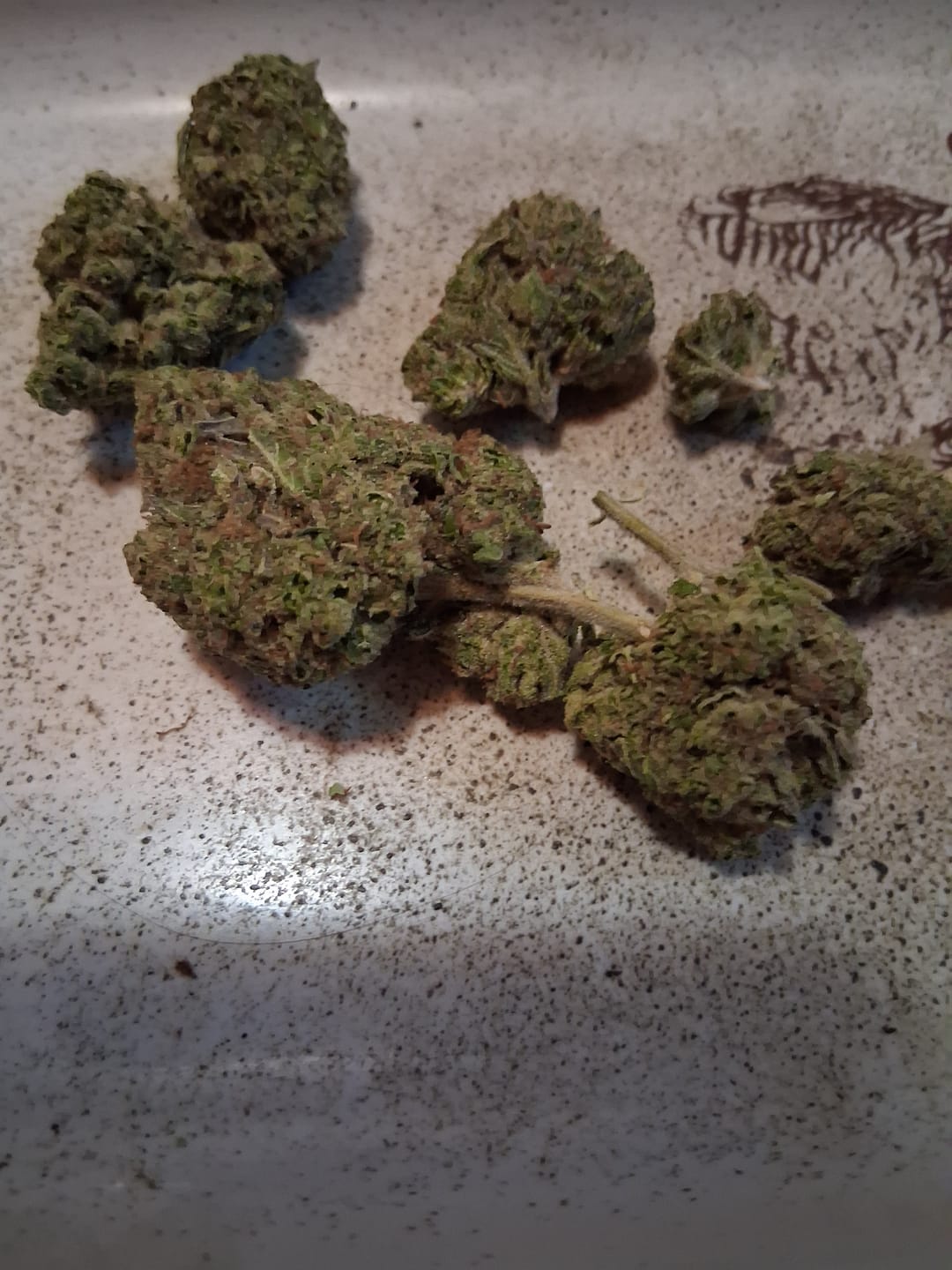 Customer photo review of Moon Fog Light Assist THCA