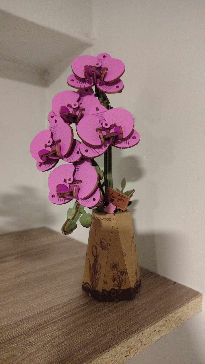 Customer photo review of Flor de Orquídea Polilla Púrpura - Maqueta de Madera - Robotime