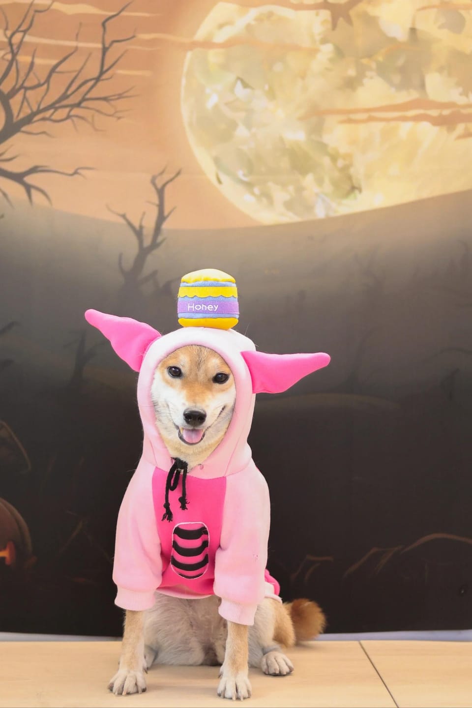 Customer photo review of Pet Sweatshirt Warm Fleece Cosplay Hoodies