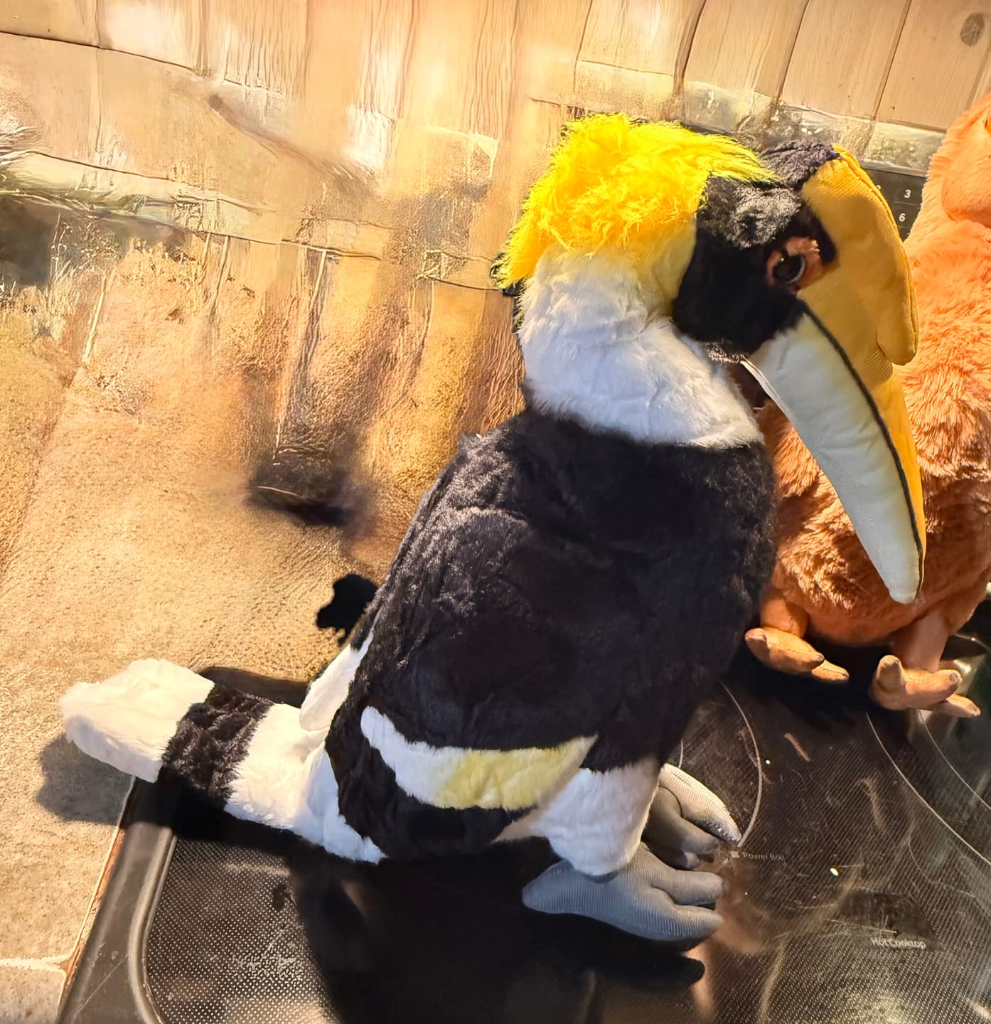 Customer photo review of Great Hornbill Bird Soft Stuffed Plush Toy