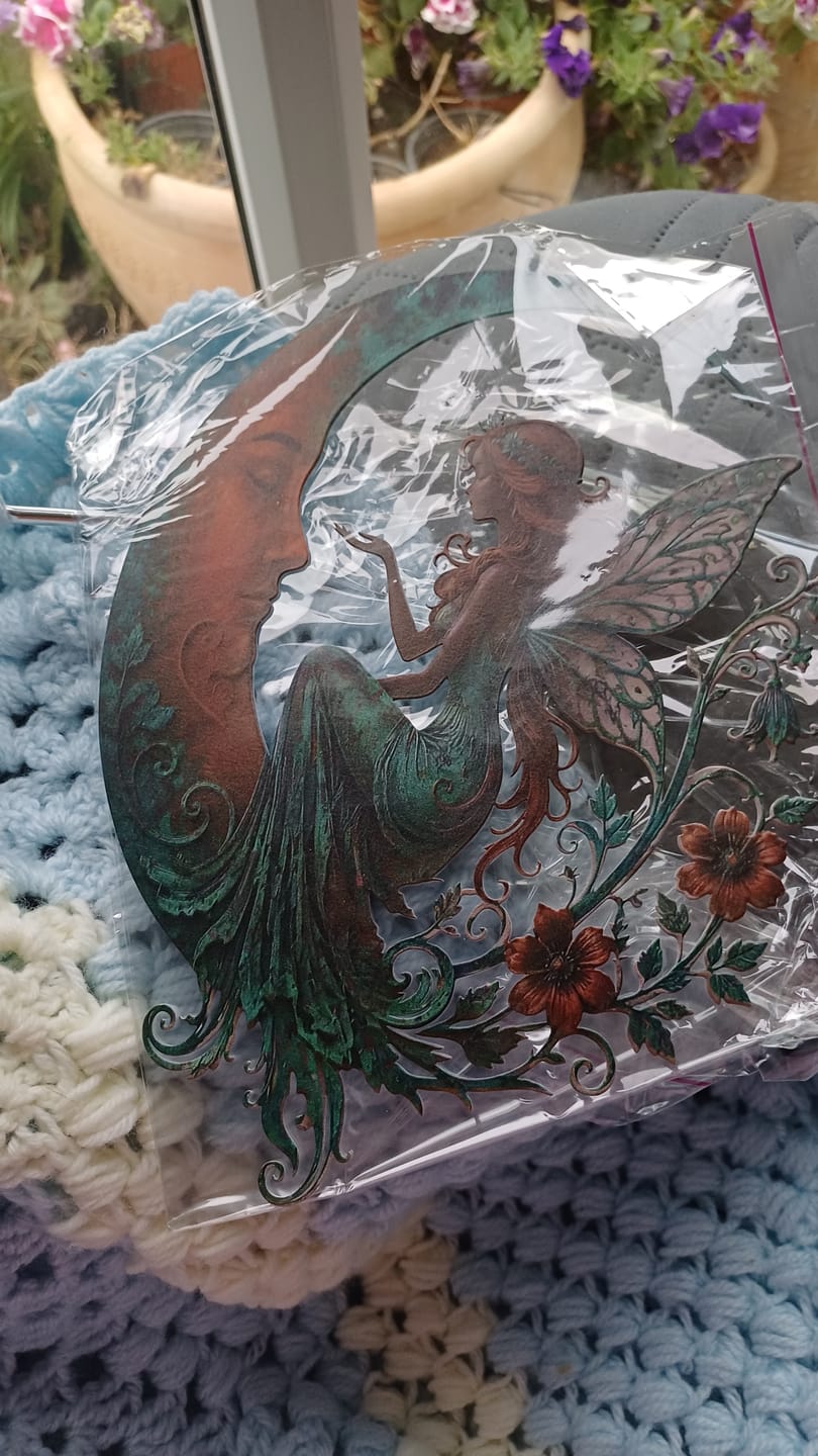 Customer photo review of Dragonfly Moon Wall Decor