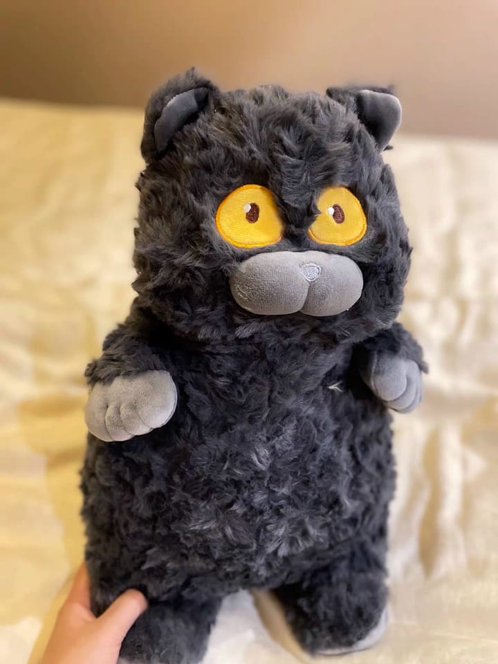 Customer photo review of Einstein Cat