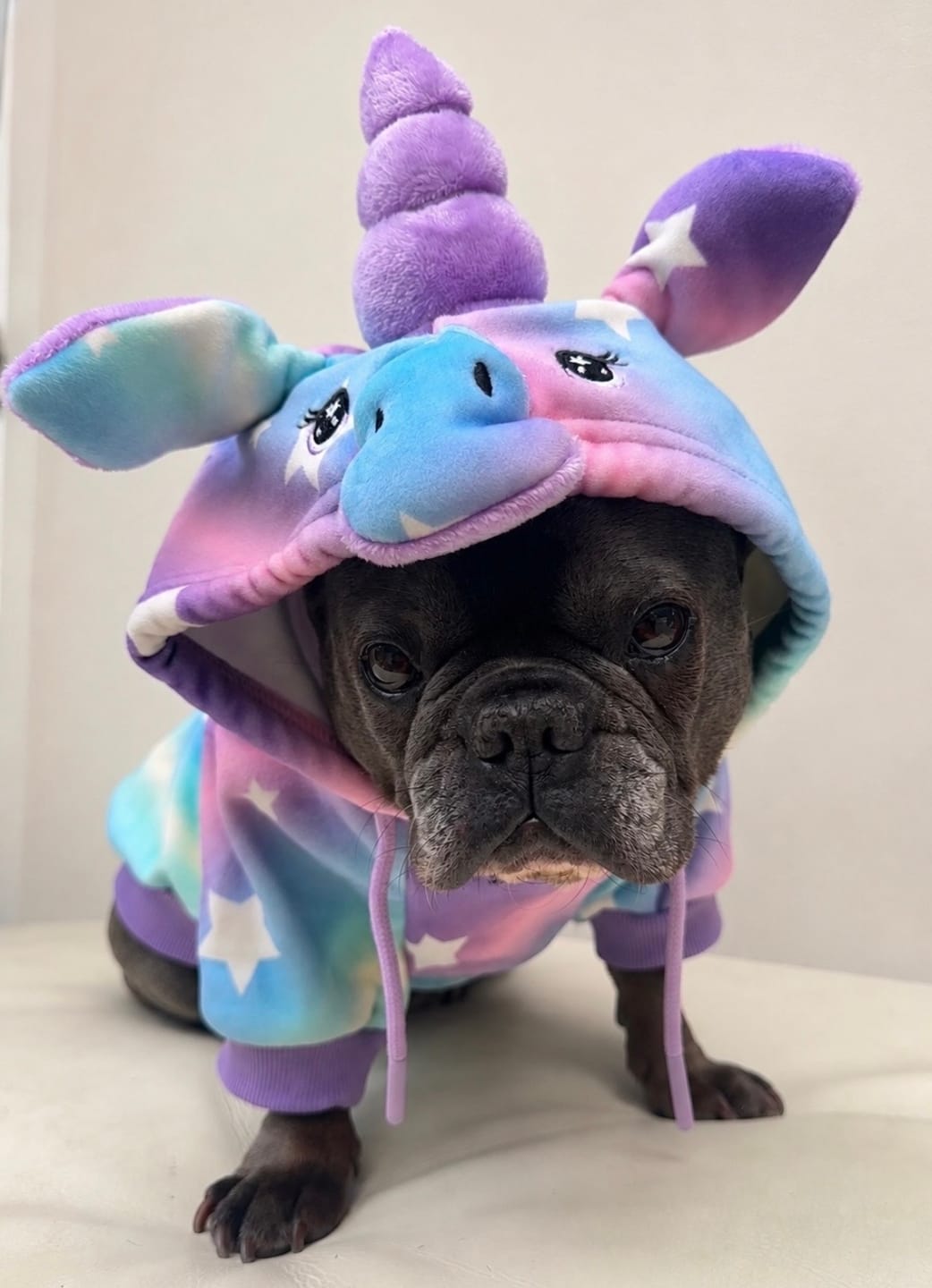 Customer photo review of Halloween Dog Hoodie - Unicorn (2)