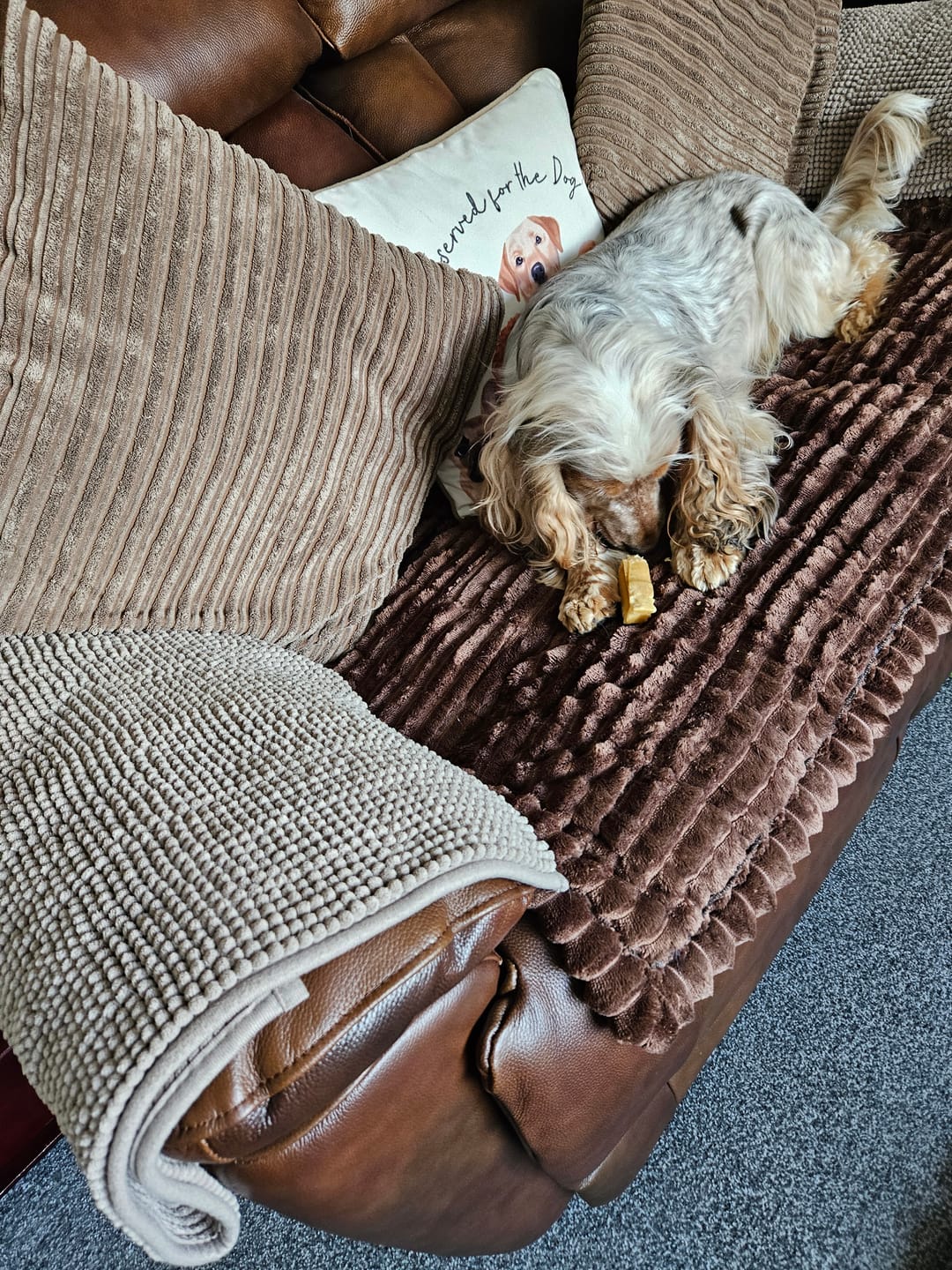 Customer photo review of Himalyan yak chew (LARGE)