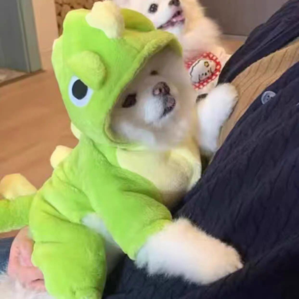 Customer photo review of Dinosaur Bodysuit costume