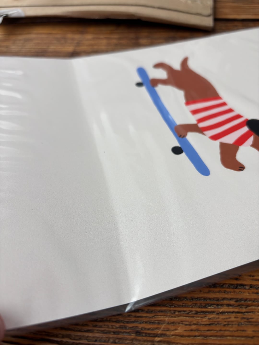 Customer photo review of Skater Dog