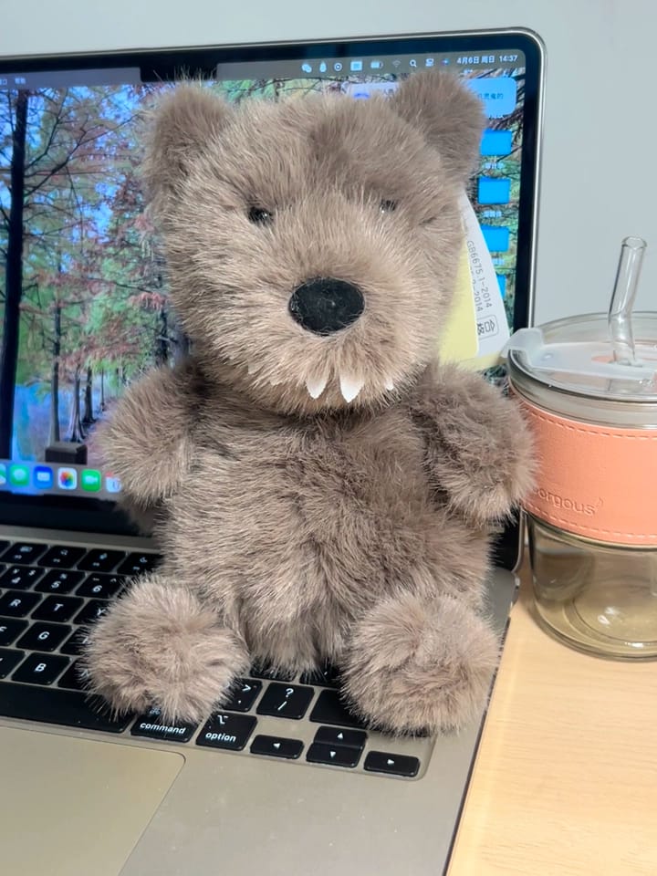 Customer photo review of Willy Wolf