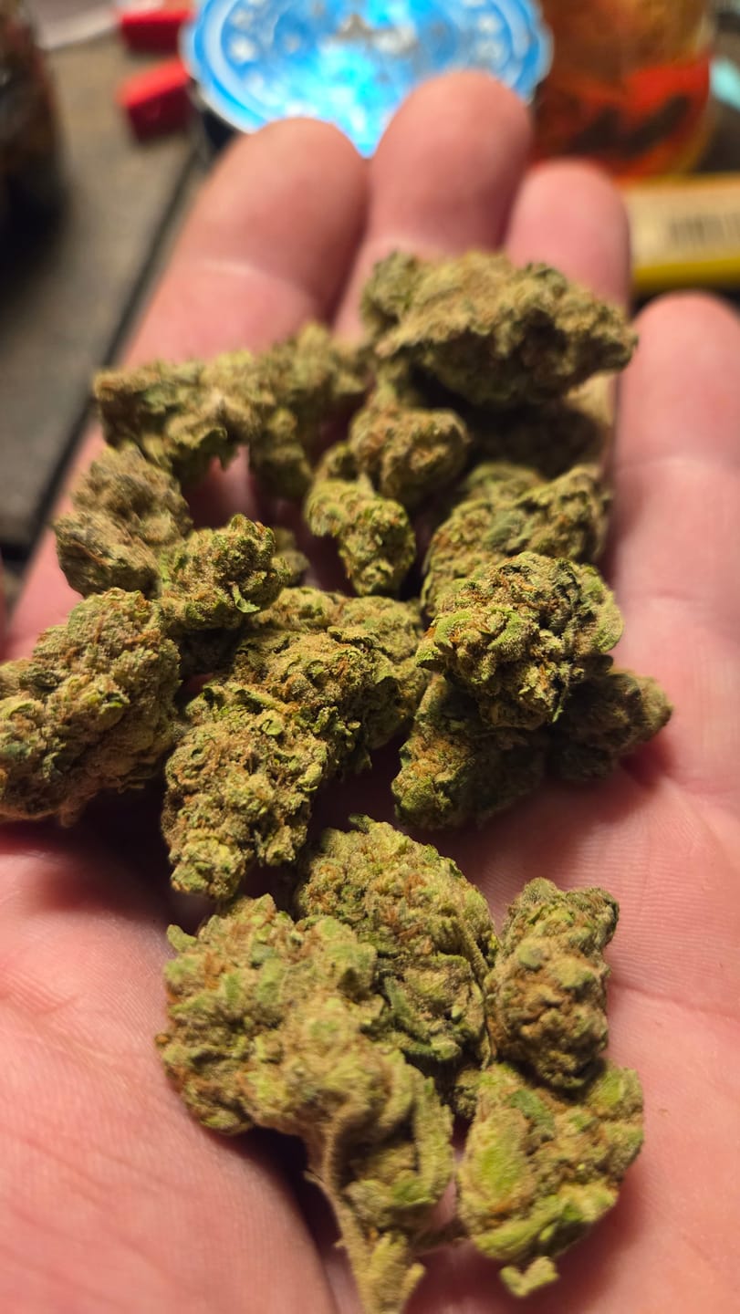 Customer photo review of Gelato Candy