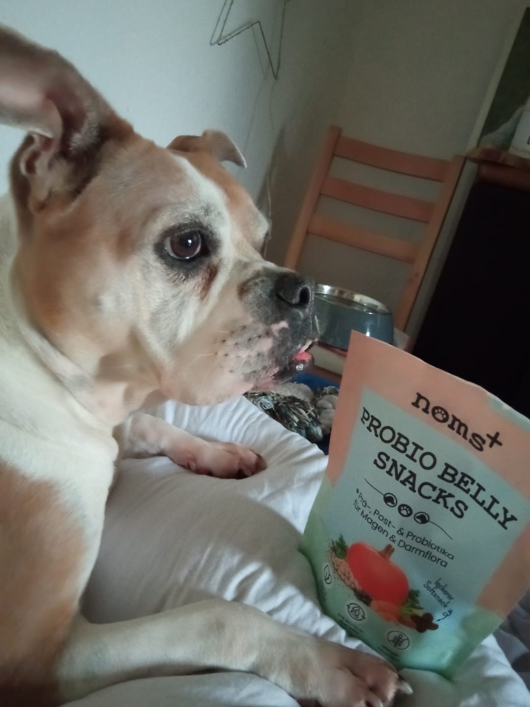 Customer photo review of Probio Belly Snacks für Hunde