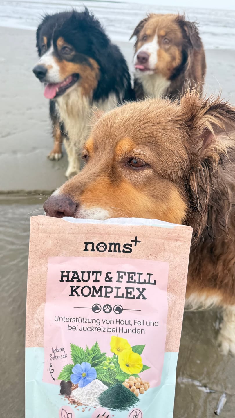 Customer photo review of Haut-Komplex für Hunde