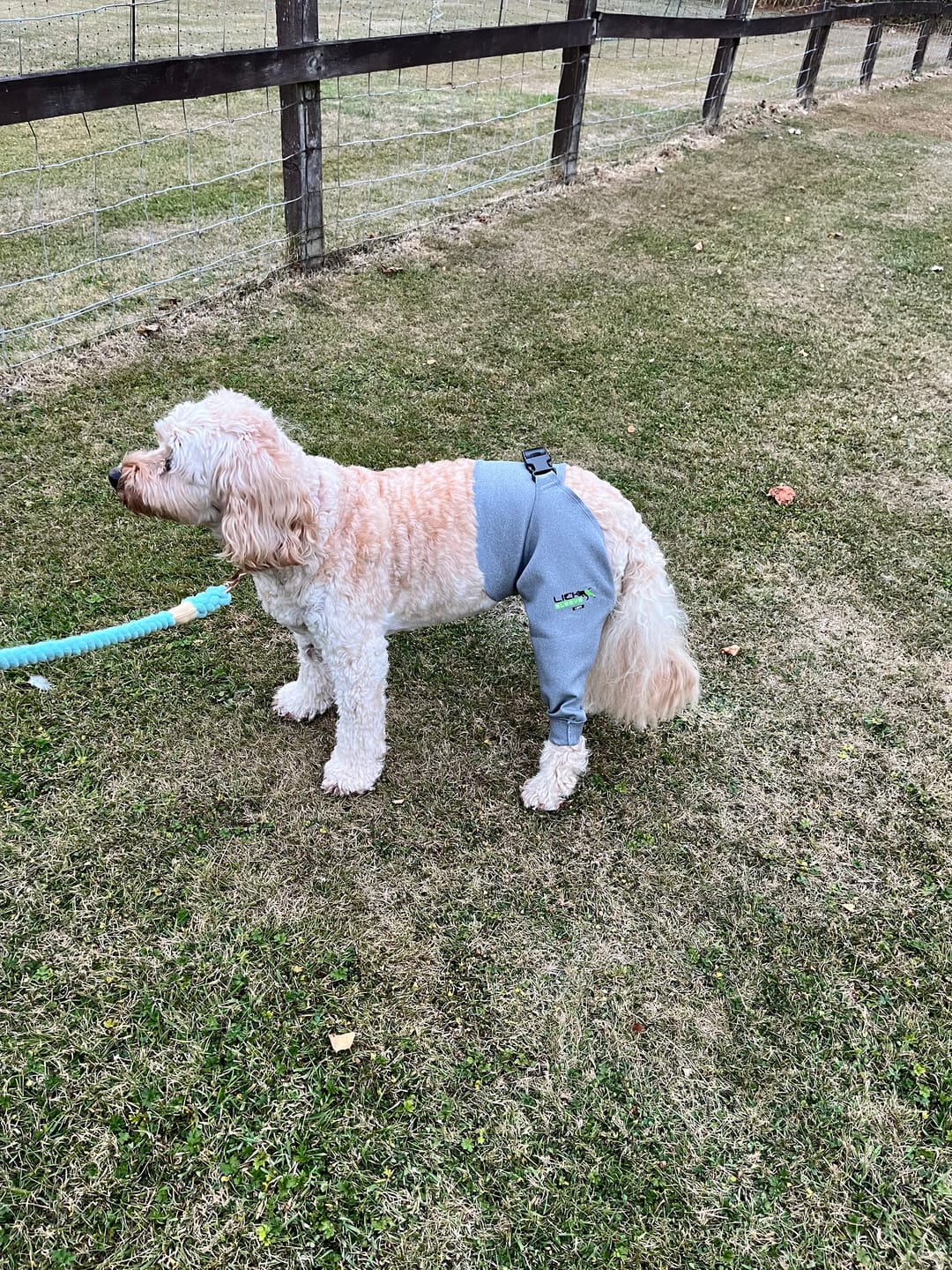 Customer photo review of Lick Sleeve