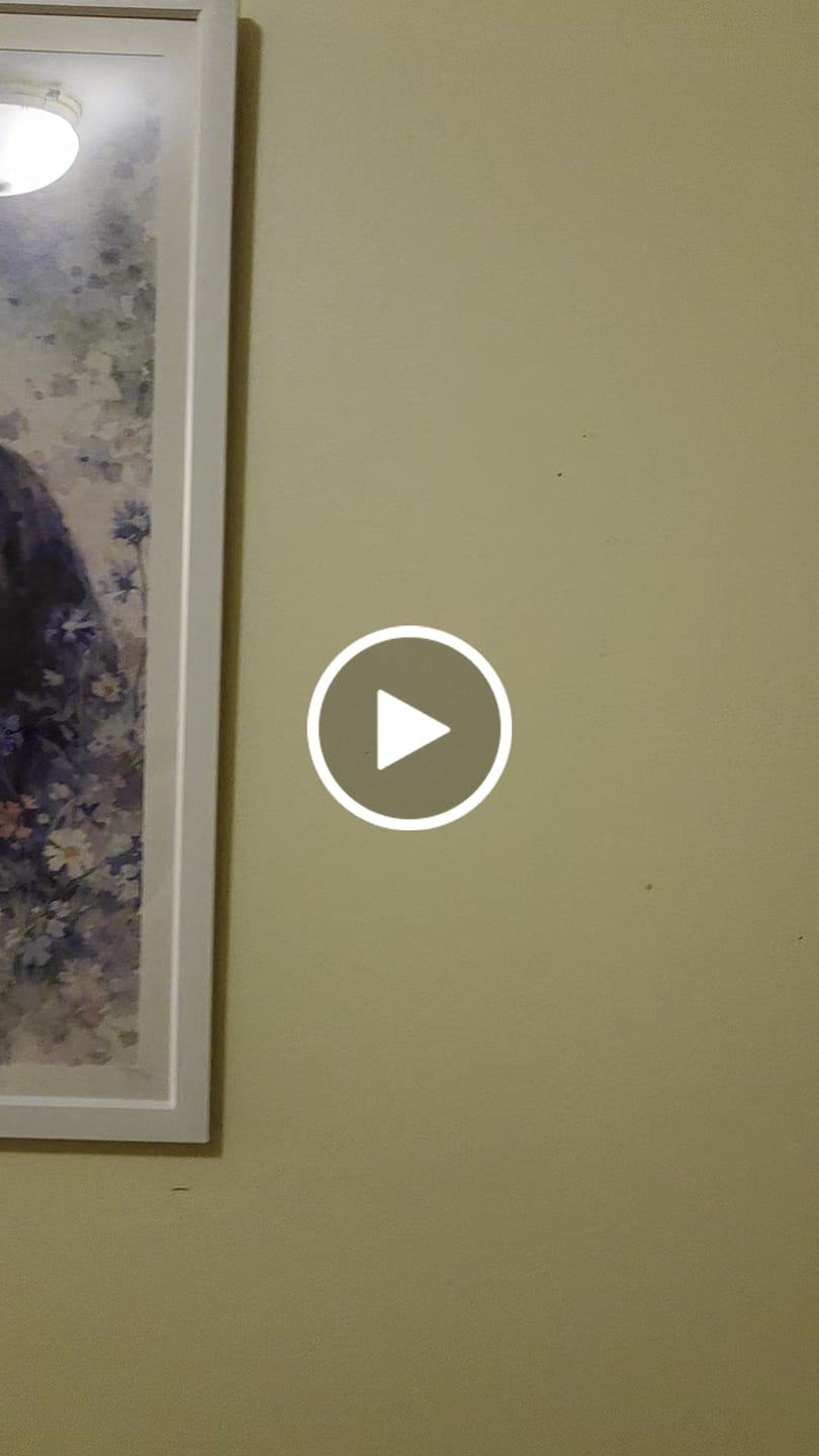 Customer video review of Watercolor - Personalized Poster
