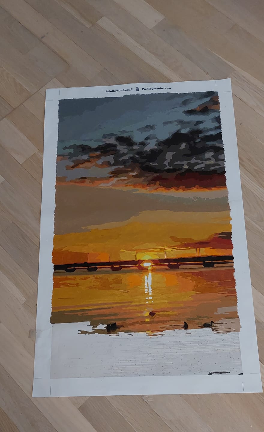 Customer photo review of Numeromaalaus omasta kuvasta