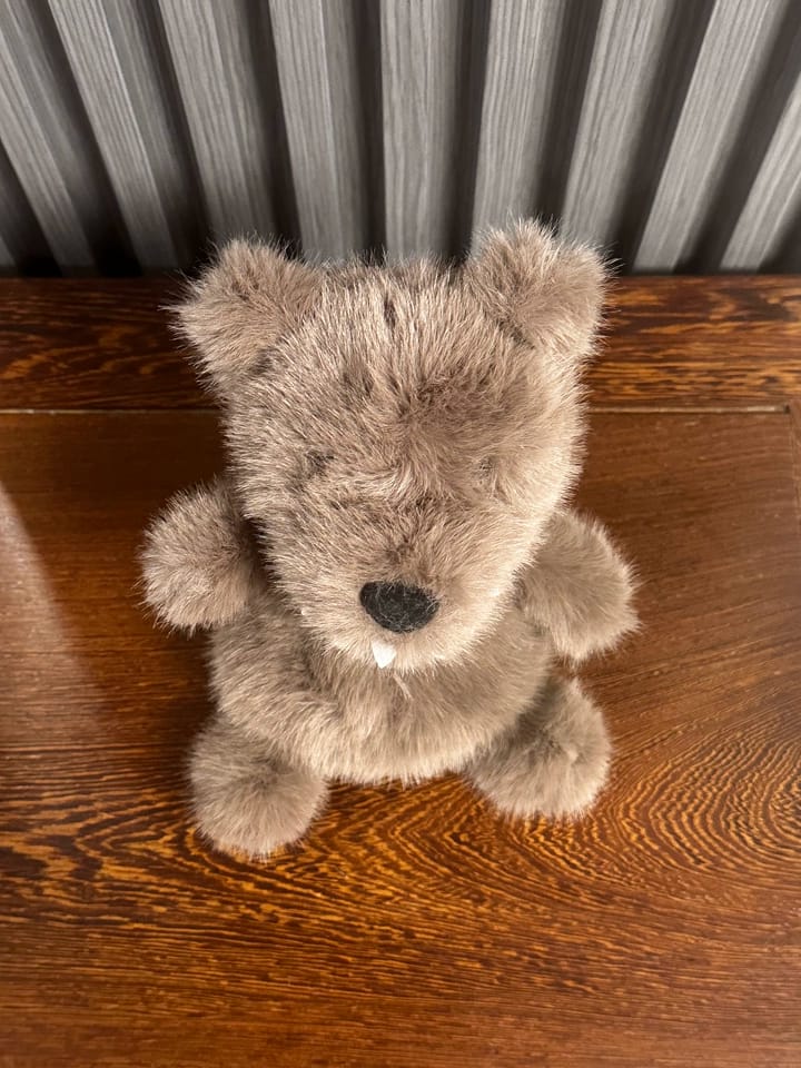 Customer photo review of Willy Wolf