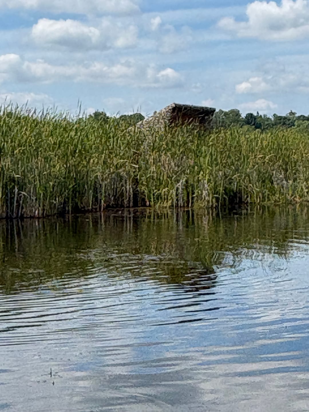 Customer photo review of hunting blind camouflage netting with backing netting