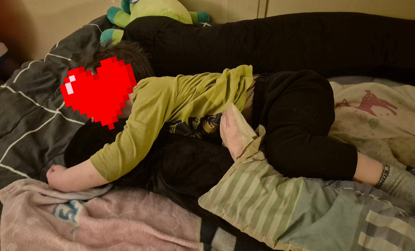 Customer photo review of Kids Pillow Pod