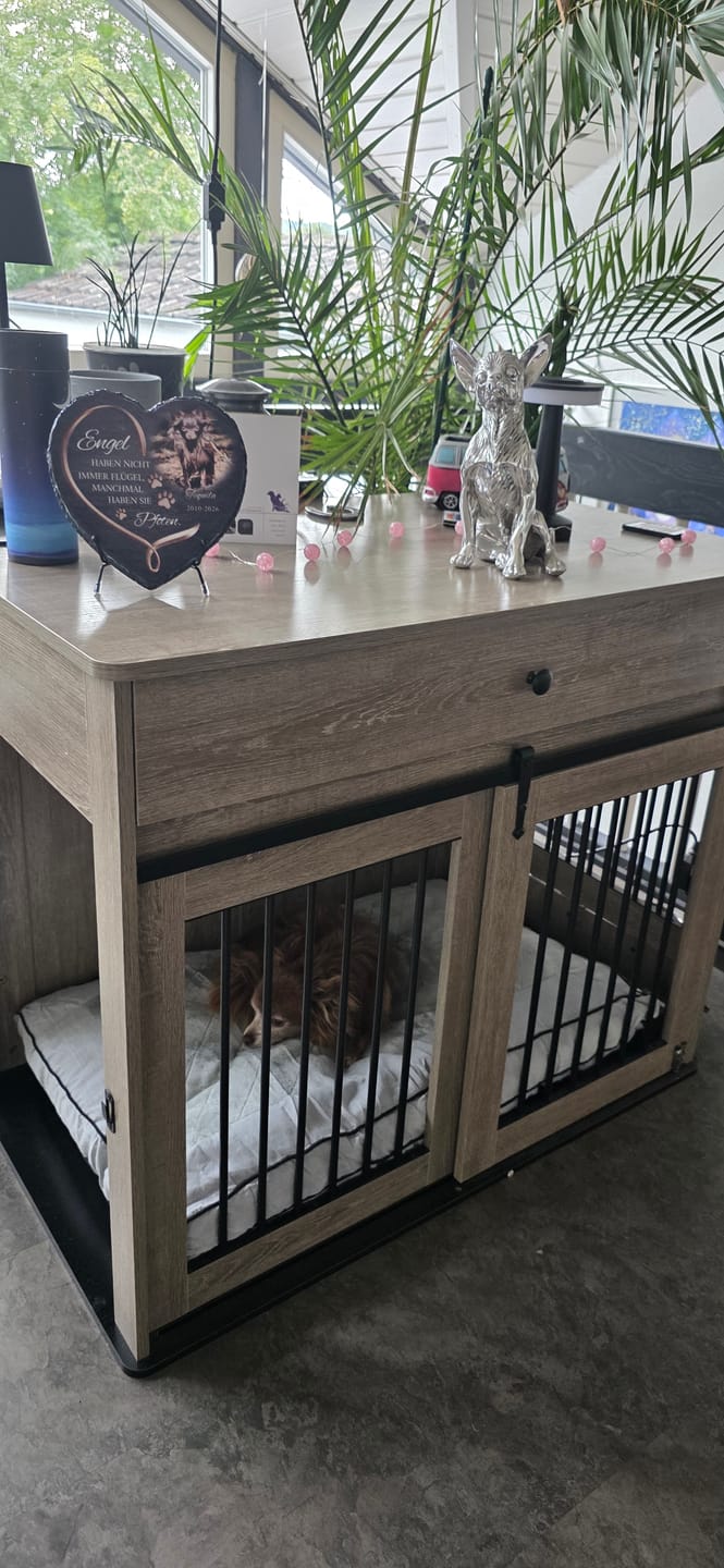 Customer photo review of Aufsteller